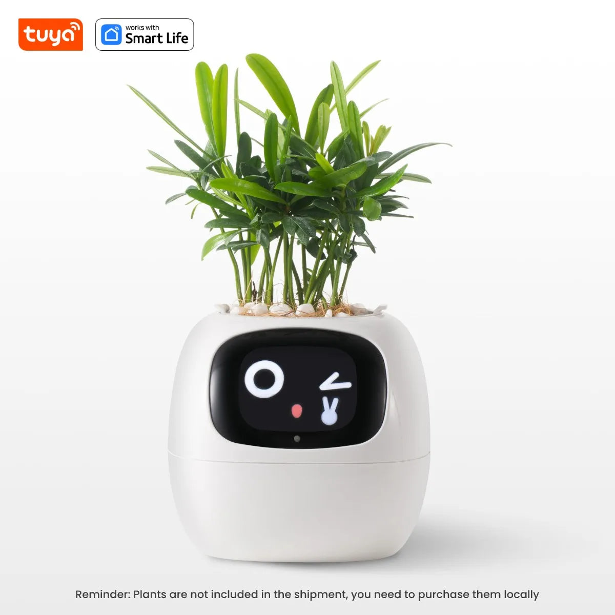 Potagochi - AI Smart Planter