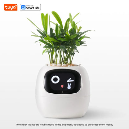 Potagochi - AI Smart Planter