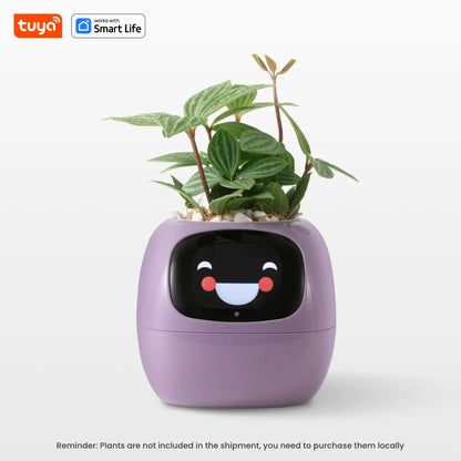 Potagochi - AI Smart Planter