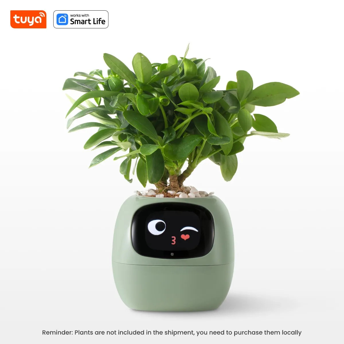 Potagochi - AI Smart Planter