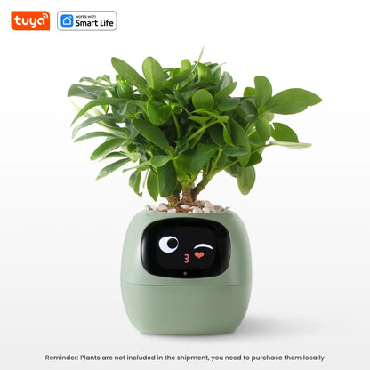 Potagochi - AI Smart Planter
